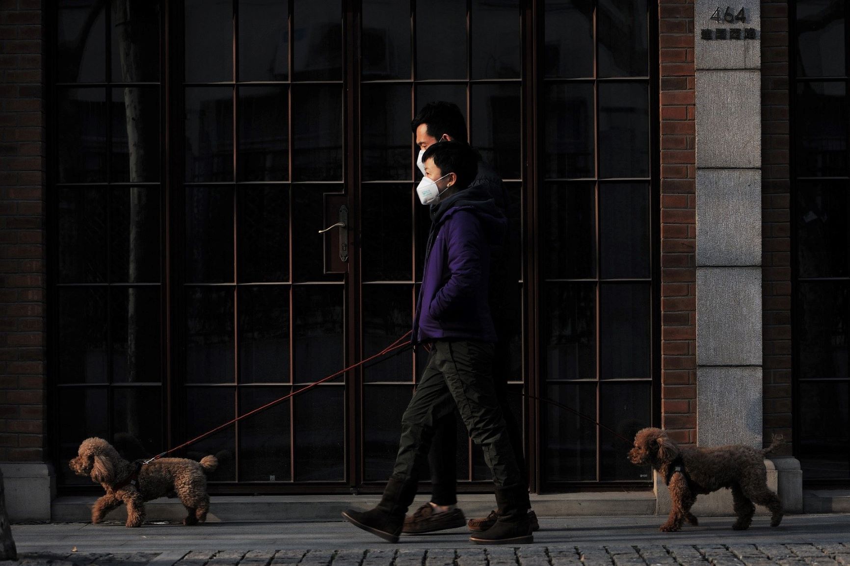 Two people wearing masks while walking their dogs