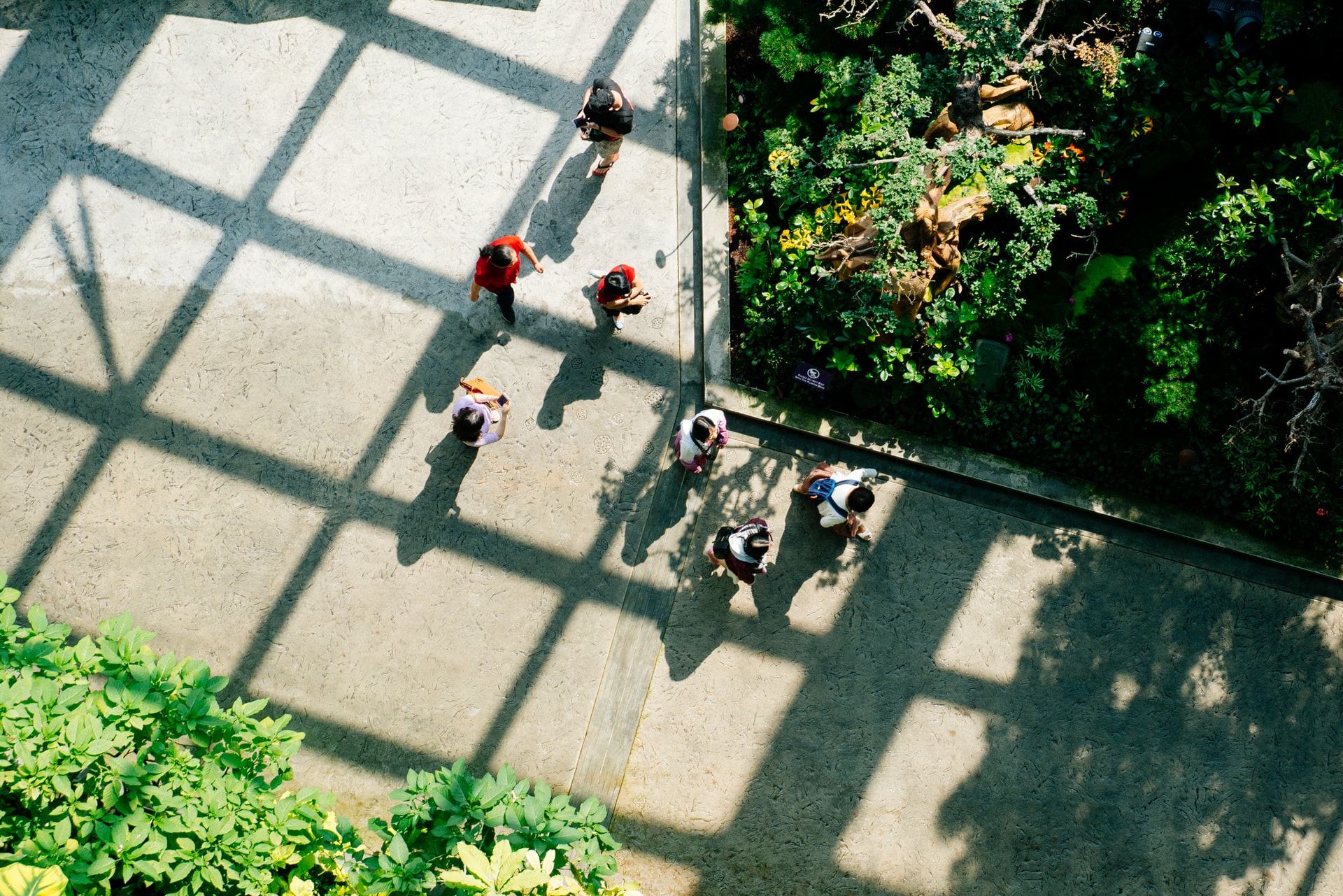 Aerial view of people walking in a garden