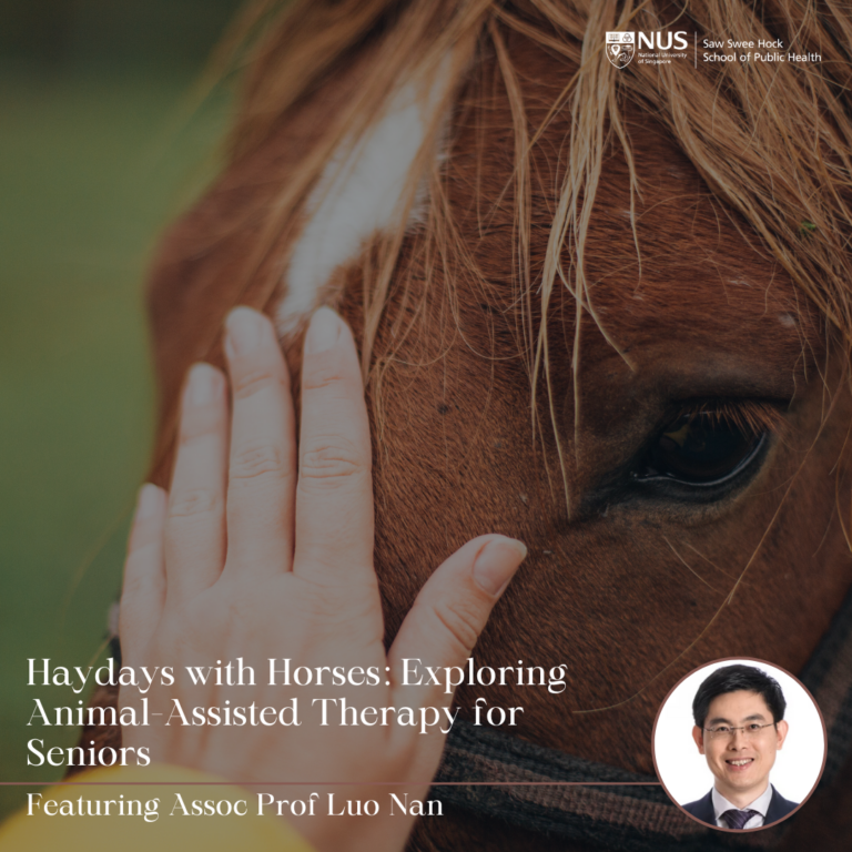 A close-up image of a person’s hand gently touching the face of a brown horse with a white marking on its forehead.