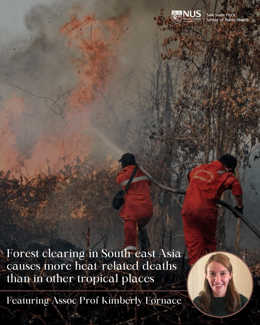 Forest-clearing-in-South-east-Asia-causes-more-heat-related-deaths-than-in-other-tropical-places
