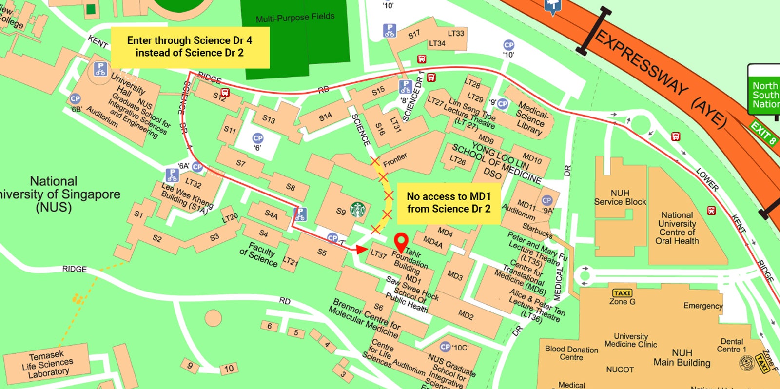 NUS-Public-Health-MD1-Directions